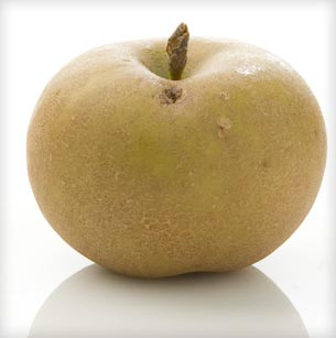 PommeGris apple