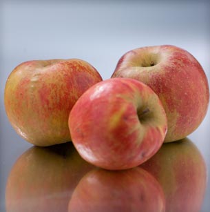 Ribston Pippin Apple