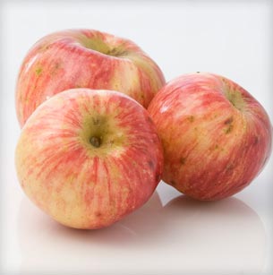 Tremlett's Bitter Apple